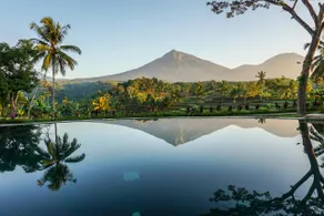 Ijen Resort and Villas - The Hidden Paradise - Image 2