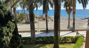 Las Palmeras - Image 1
