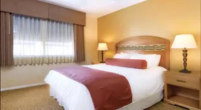 Dolphin's Cove - Image 4