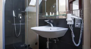 Hotel Krušnohorský Dvůr - Image 2