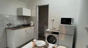Rose Apartment with Garden & freeparking - Image 2