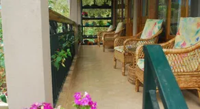 Roots Shoots & Beds - Image 4