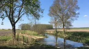 Chambre d'hôtes à la campagne - Image 4