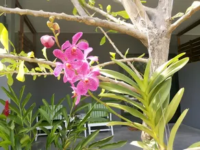 Kanvela Resort - Image 3