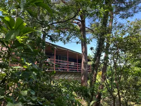 ganeko house - Image 5