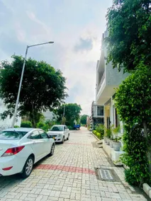 The Venetian Homestay - Image 4