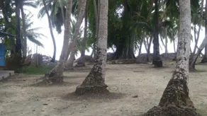 Green Valley Resort-Havelock Island - Image 3