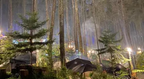 corak alam glamping - Image 2