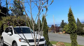 Cozy Ocean View Retreat - Image 3