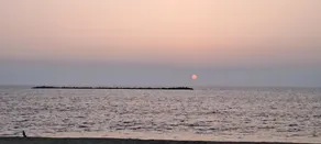 Snehasindhu Sea View Homestay - Image 5