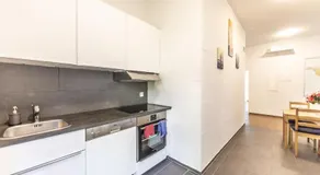 RUSTICO INN- Vintage Simple Rooms and Easy Parking direkt bei der OLMA nahe HSG und Spital - Image 3