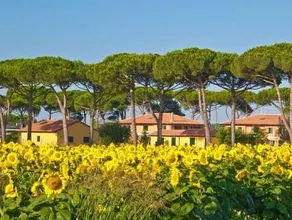 La Fattoria di Tirrenia - Image 4