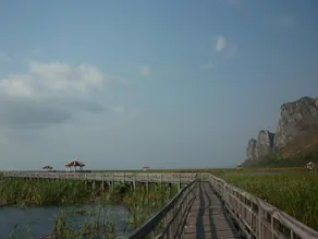 Maneemudjalin Resorts Farm Stay - Image 3