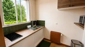 Appartement thème jungle - Image 4