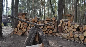Domek na Drzewie - Image 4
