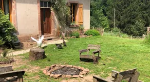 A l'orée de soi - Chambres d'hôtes éco responsables au pied des Vosges - Maison forestière de la Soie - Image 4