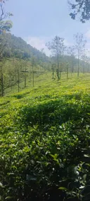 Vidyas Retreat's Rustic Roots- Farm Staycation - Image 3