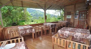 Kopal - Image 4