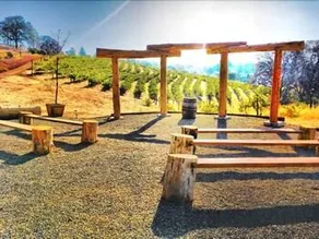 Papillon Cellars - The Loft - Image 4
