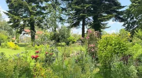 La Forestière du Château - Image 5