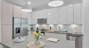 Luxury apt in St Pete clearwater Near Beaches Downtown - Image 5
