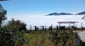 The Views - True Baduaga Living - Image 5