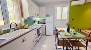 Olive Groove Chios - Image 4