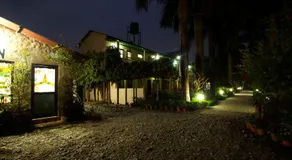 Sauraha Resort - Image 3