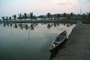 Kandal Theeram Farms - Image 5