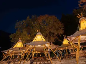 Mieux Forest - Image 4