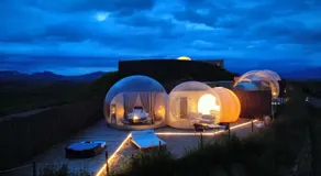 Wine Bubble - Image 4