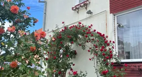 Casa Conti - Image 2