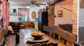Ruralna kuća za odmor KOVIN BREG - Image 5