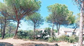 Purple House - Arboriamar Platamona - Image 3