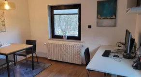 APARTMENT HOMEOFFICE WORKATION im Bayerischen Wald - Image 3