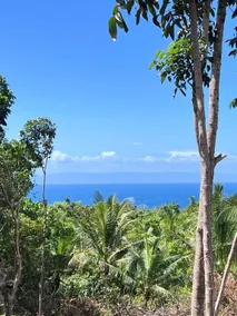 Sequor Palm Villa - Image 3