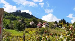 Szent Márton Vendégház - Image 5