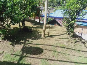 house - Image 5