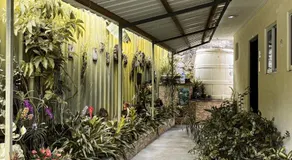 Anse Norwa Self Catering - Image 3