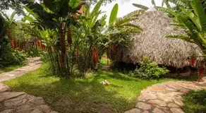 Buddy's Hostel & Pousada Alto Paraiso - Image 5