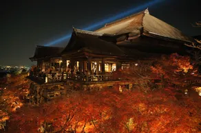 RESI STAY Tsubaki - Image 5