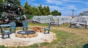Heartland cottage - Image 3
