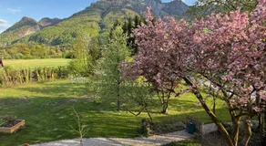 Esterer - Image 2