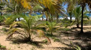 Cabana Sabiá - Image 5