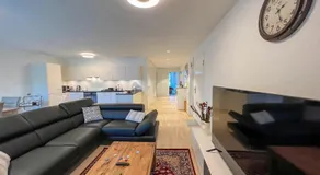 Lavish 4.5 rooms furnished apartment @Glattbrugg - Image 3