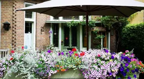 Villa Warempel - Image 4
