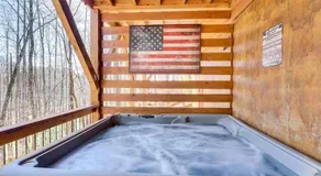 Hot Tub + Fire Pit: Dog-Friendly Cabin in Murphy! - Image 5