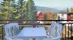 Chalet Sonnenhang Oberhof - Image 3