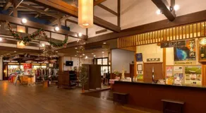 Iwaizumi Ryusendo Hotel Ryunosumika - Image 4