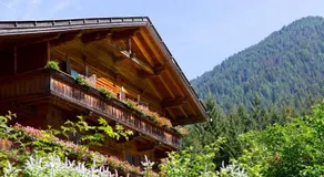 Hotel Waldruhe - Image 5